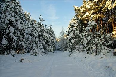 《燕云十六声》精美截图 画面唯美让人沉醉其中